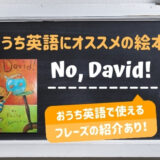 “No, David!”｜おうち英語にオススメの絵本